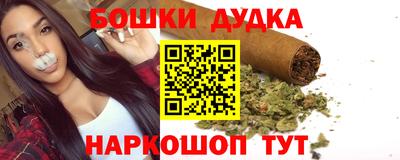 стаф Новокубанск