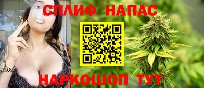 стаф Новокубанск